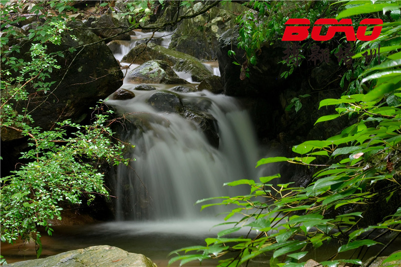 惠州巽寮灣古田自然保護(hù)區(qū) 惠州巽寮灣古田自然保護(hù)區(qū)